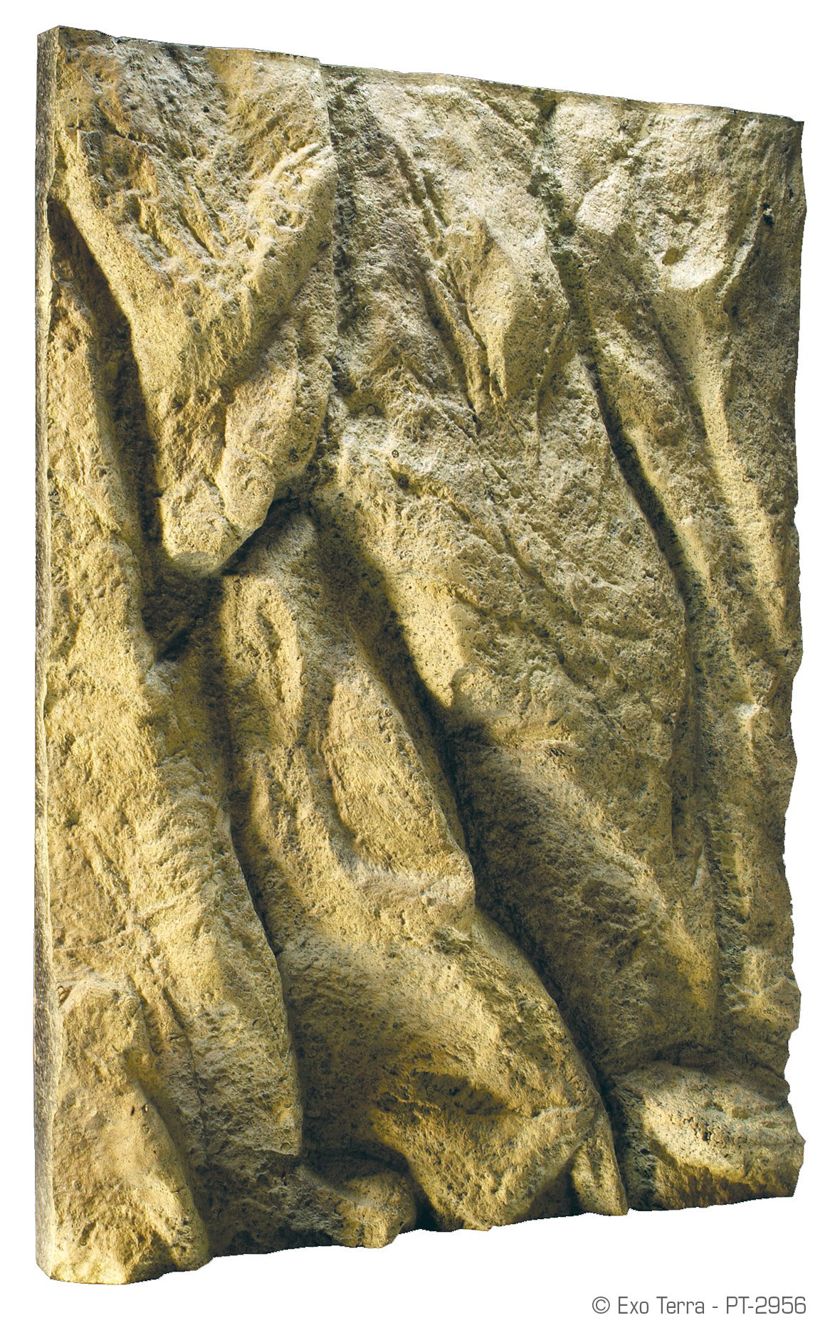 Exo Terra - Fond de Décor pour Terrarium - 45x60cm