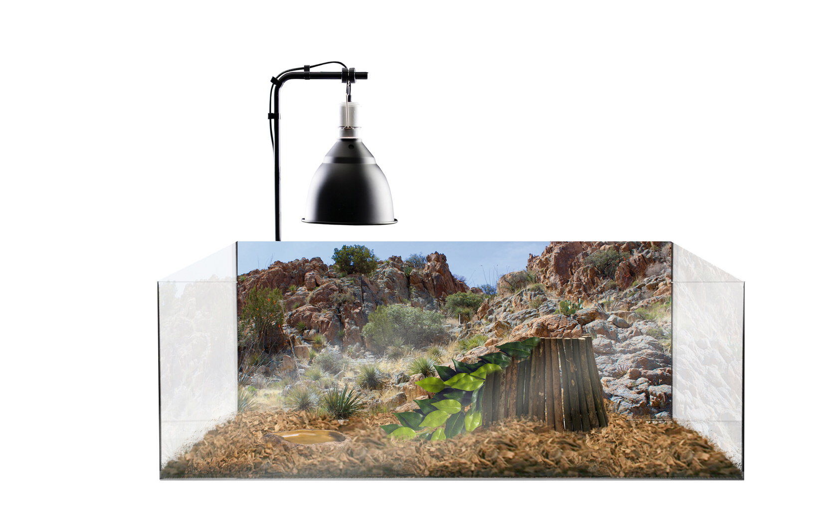 Exo Terra - Terrarium tortue Kit - 60x35x23cm