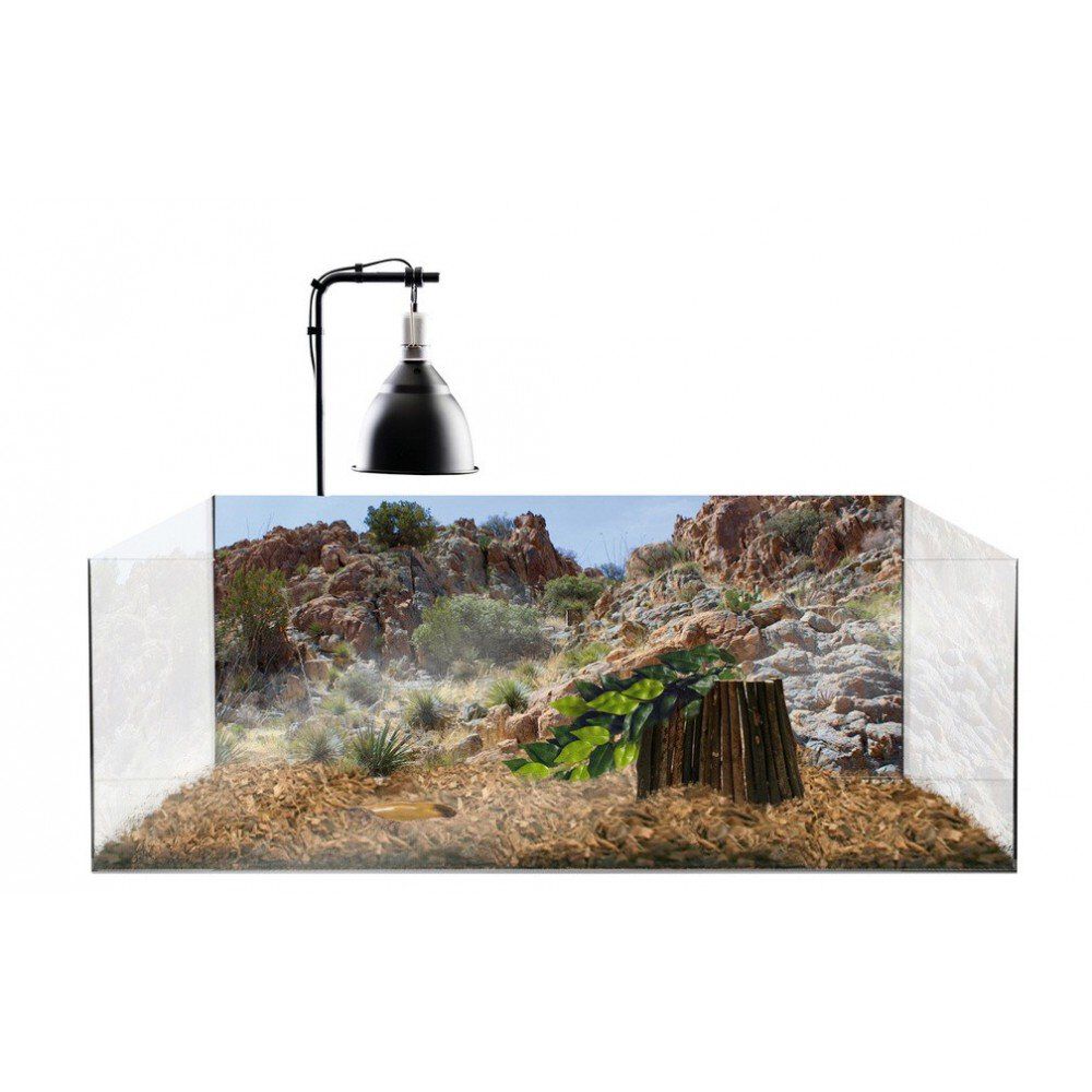 Exo Terra - Kit pour Tortue Terrestre - 79x39x27cm