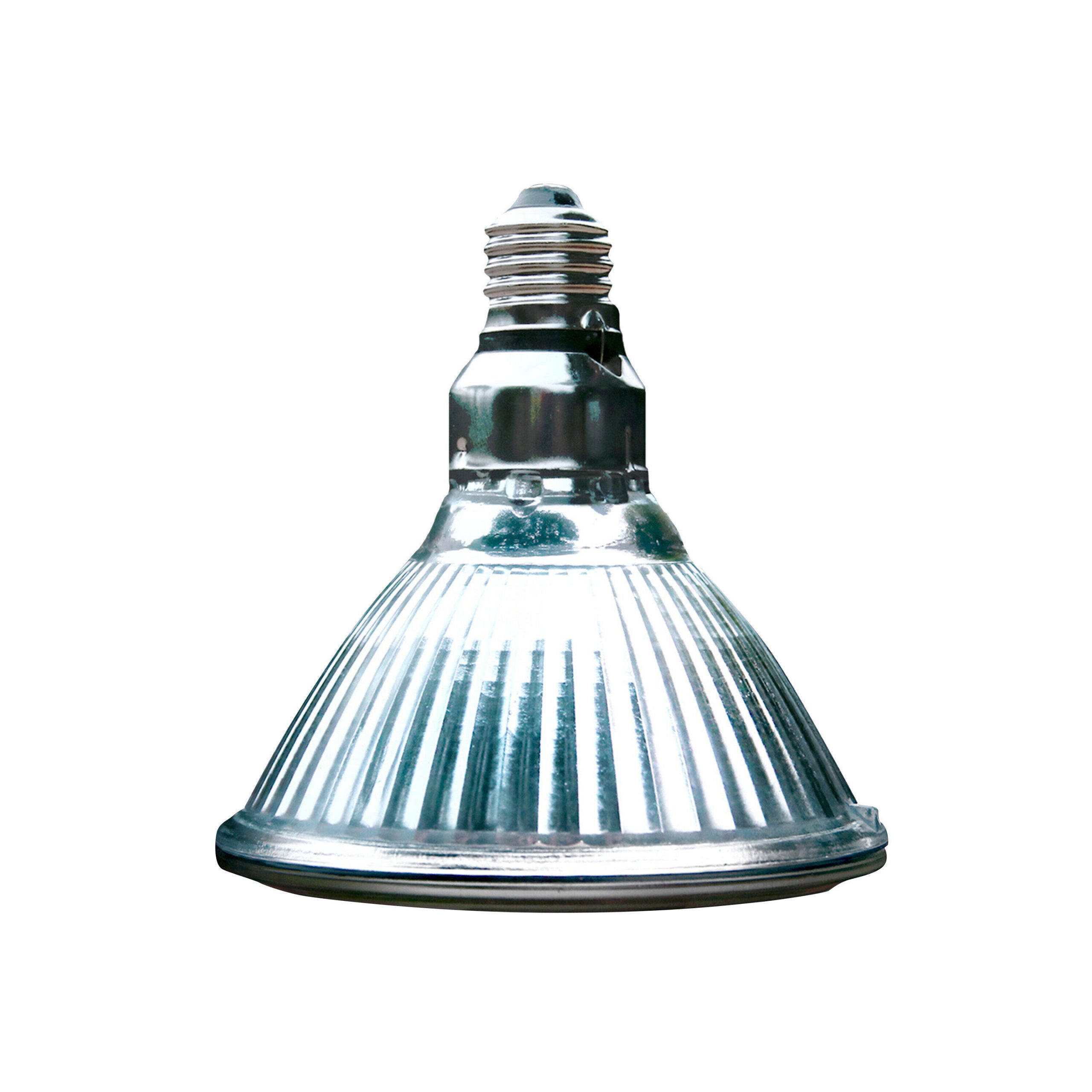 Arcadia - Spots Halogen Basking (E27) 100 Watt - Réptiles