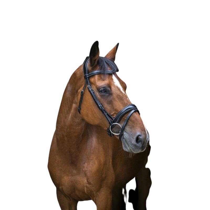 Bridons équitation pour cheval pur-sang Pro Wave