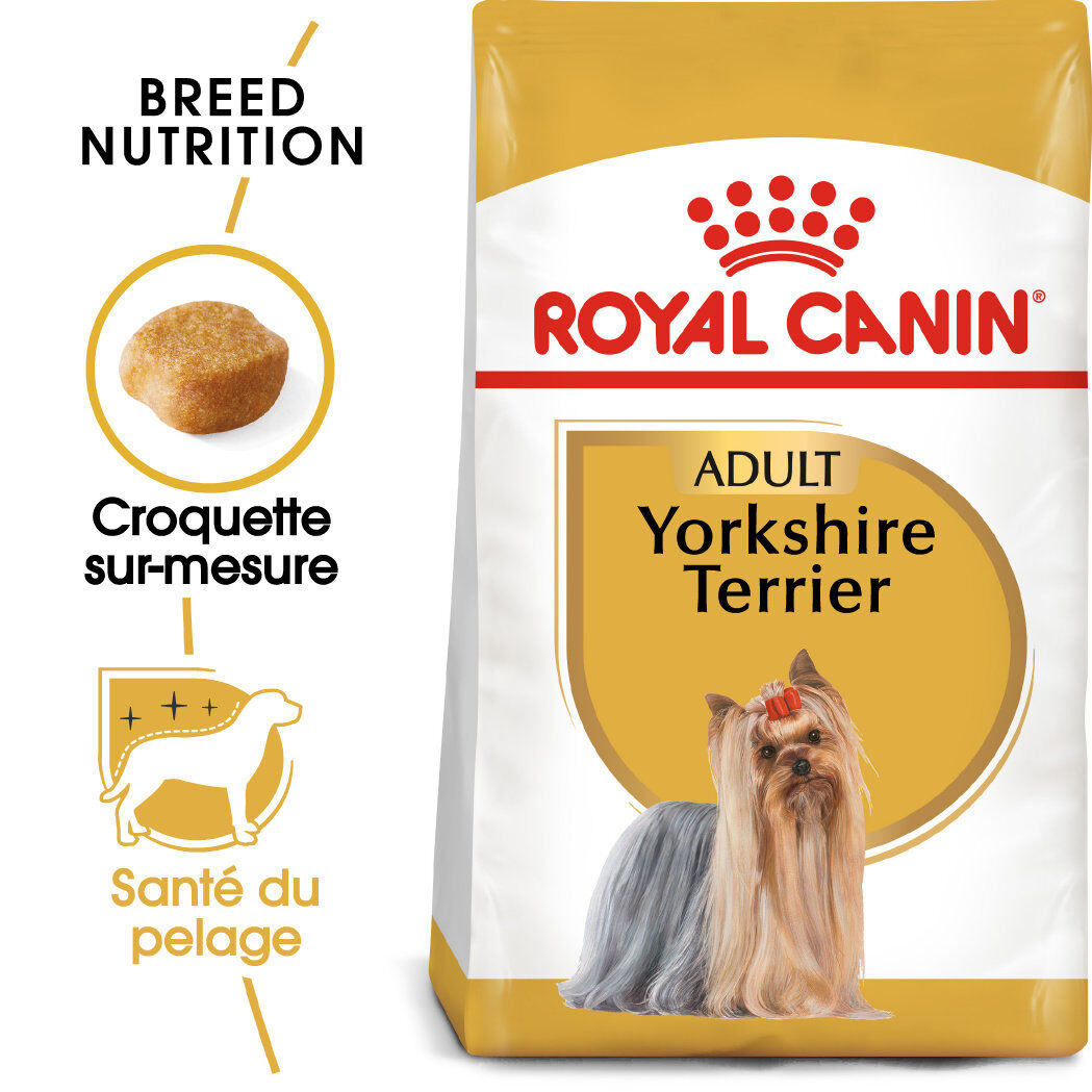 Royal Canin - Croquettes Yorkshire Terrier Adult pour Chien