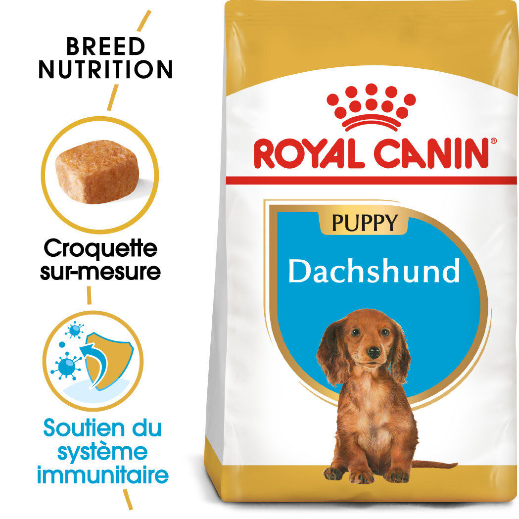 Royal Canin - Croquettes PUPPY DACHSHUND TECKEL POUR CHIOTS - 1,5kg