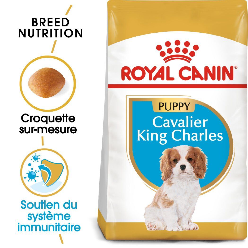 Royal Canin - Croquettes Cavalier King Charles Junior pour Chiot - 1,5Kg