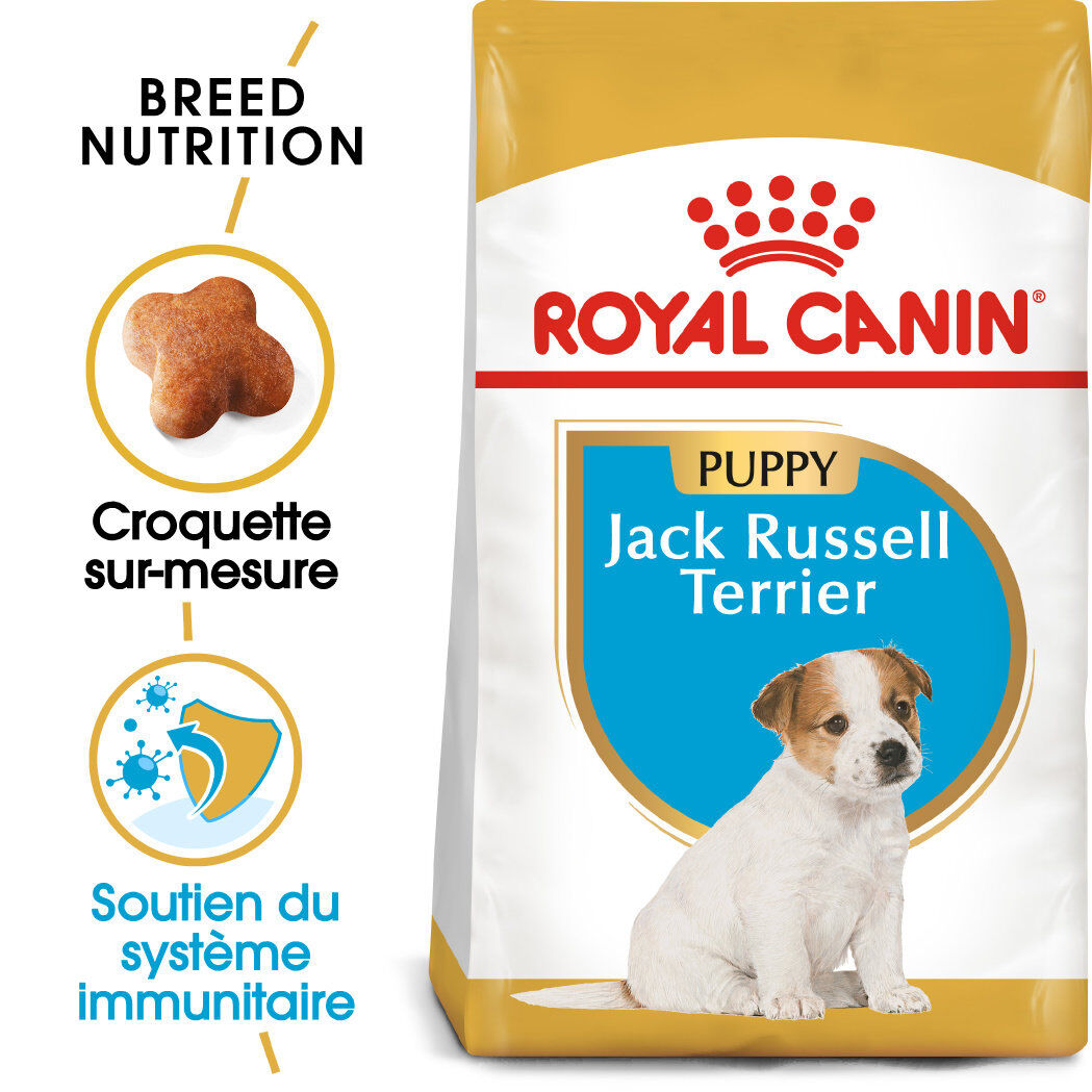 Royal Canin - Croquettes PUPPY JACK RUSSELL TERRIER Pour CHIOT