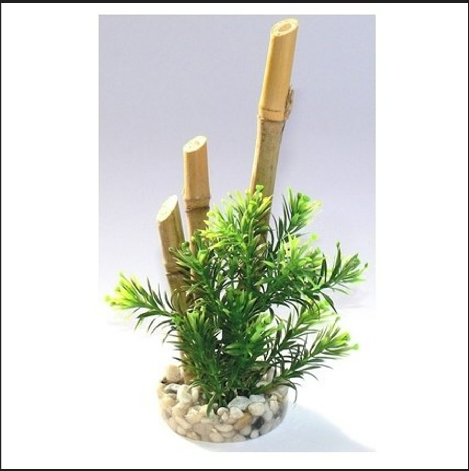 Tyrol - Décoration Plante Bambou pour Aquarium - 6cm