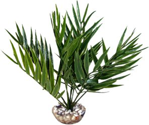 Labeo - Fougère - Plante Artificielle Aquarium et Terrarium