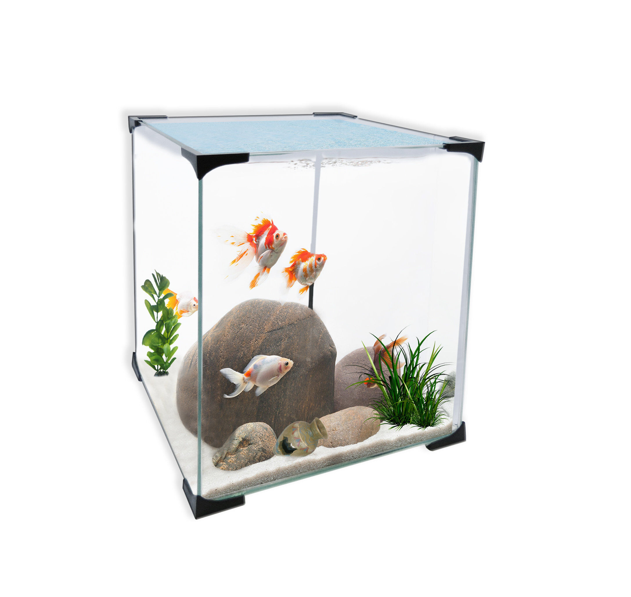 Antinea - Nano Aquarium Cuve Nue Cube + Couvercle - 31,5L