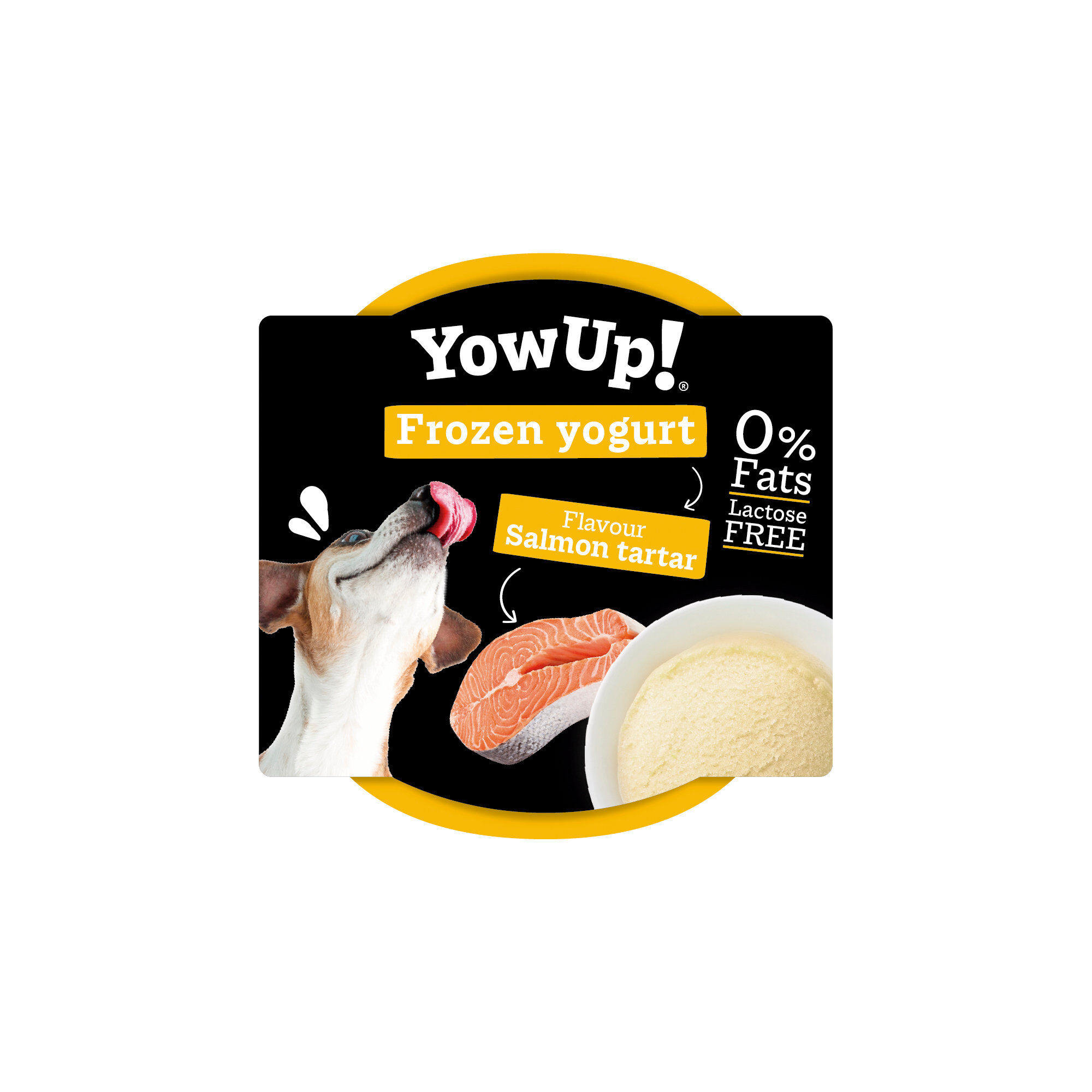 Yowup -  Yaourt Glacé au Tartare Saumon pour Chiens - 110g
