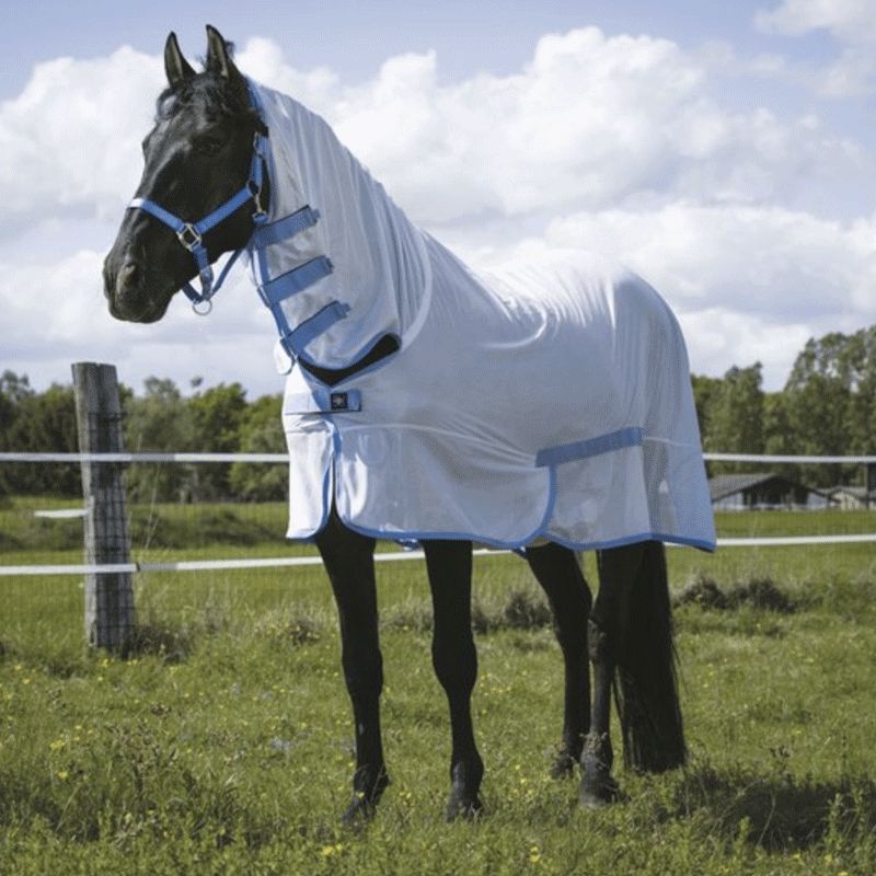 Riding World - Chemise filet Combo blanc