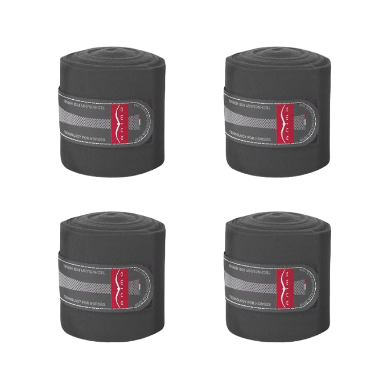 Animo Italia - Bandes de polo Wils gris (x4)