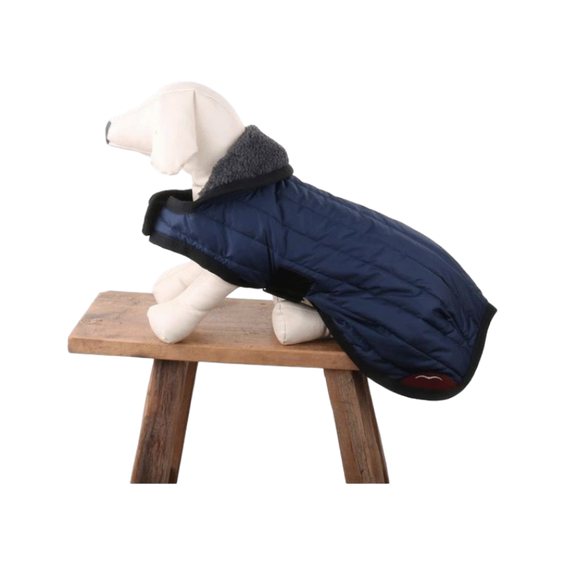 Animo Italia - Couverture pour chien Juno marine 0g