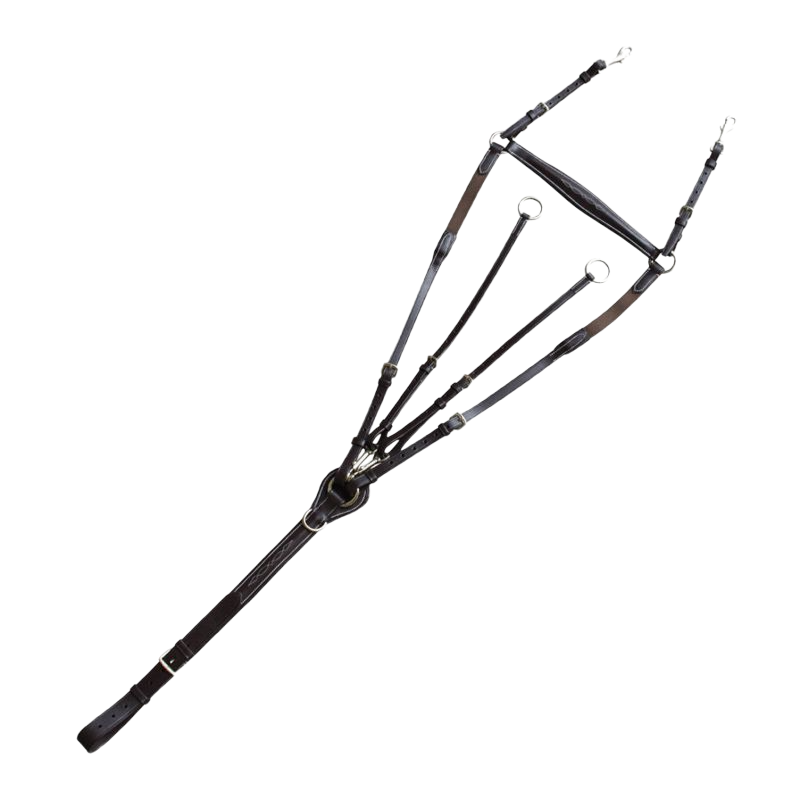 Canter - Collier de chasse surpiqué noir