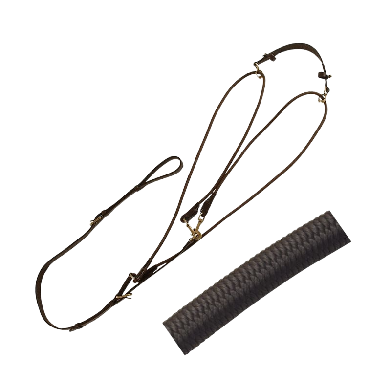 Canter - Gogue élastique