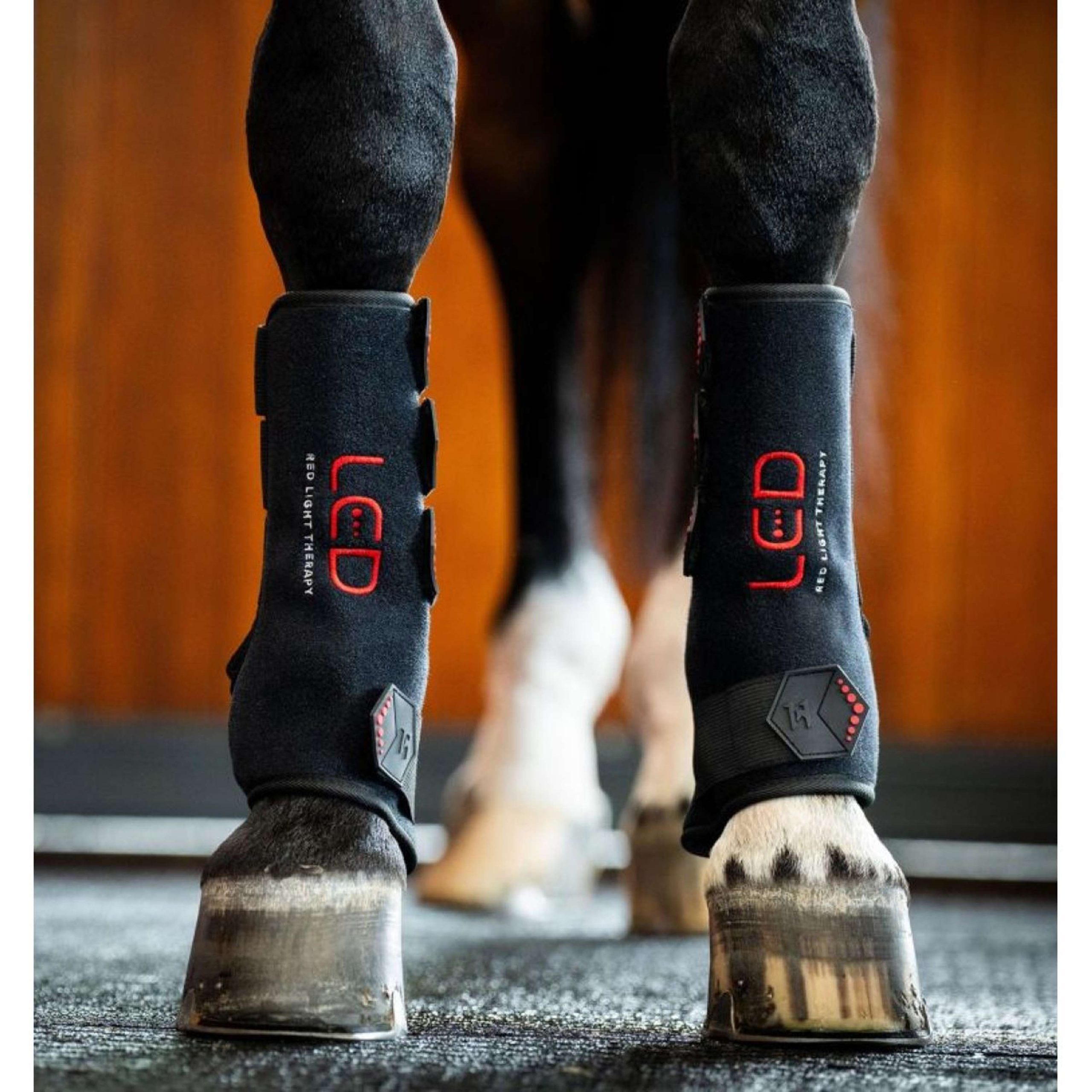 Horseware LED Red Light Therapy Right Leg Wrap Noir