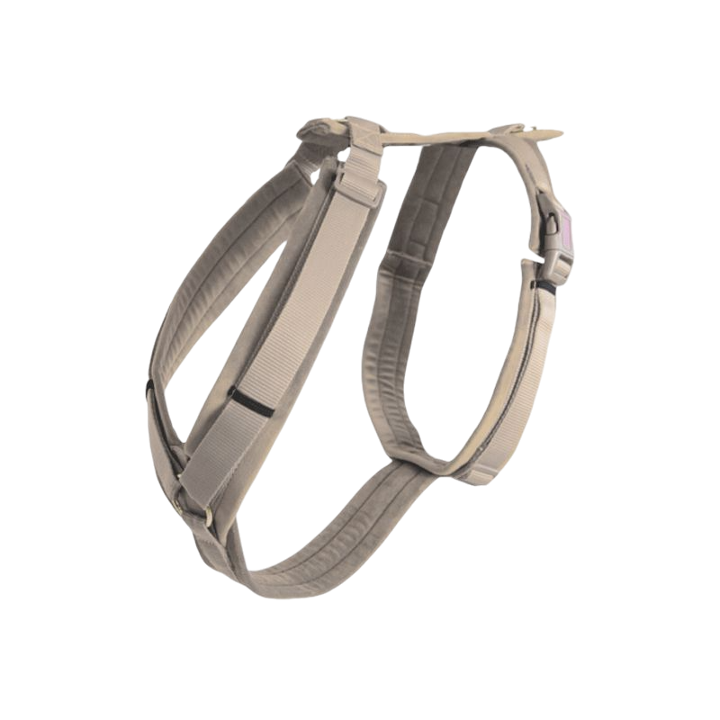 Kentucky Dogwear - Harnais pour chien actif velvet beige