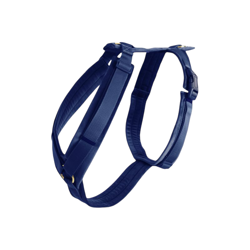 Kentucky Dogwear - Harnais pour chien actif velvet marine