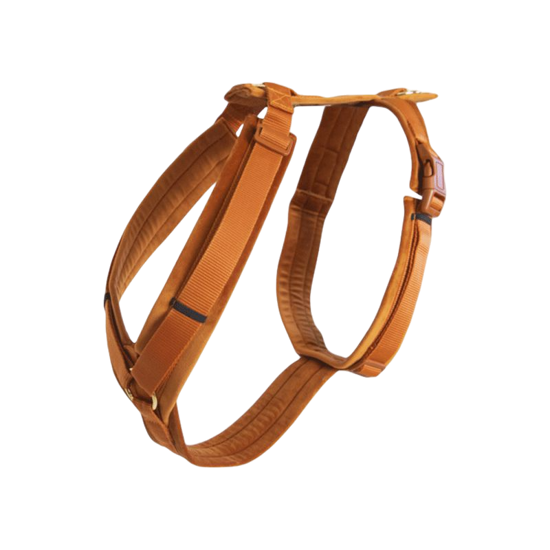 Kentucky Dogwear - Harnais pour chien actif velvet orange