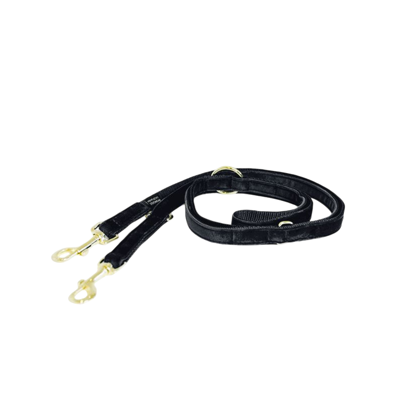 Kentucky Dogwear - Laisse pour chien Velvet 2m noir