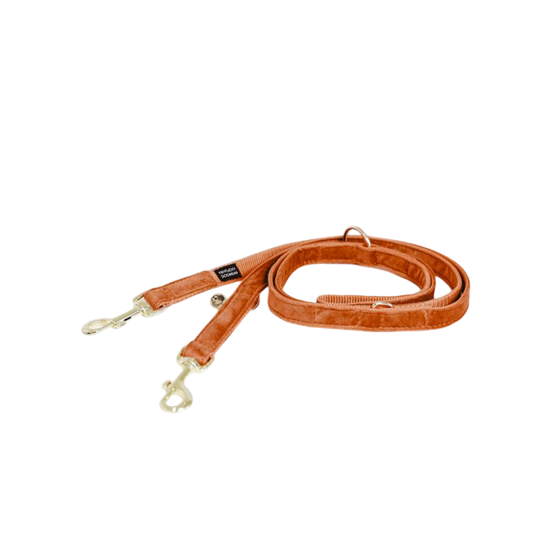 Kentucky Dogwear - Laisse pour chien Velvet 2m orange