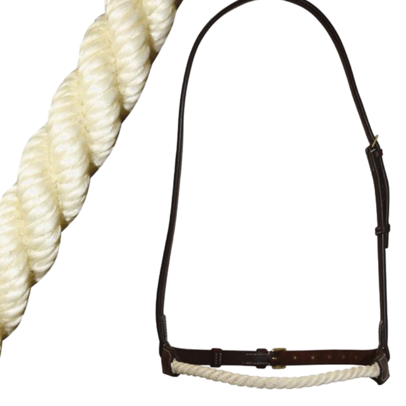 Canter - Muserolle corde Marron