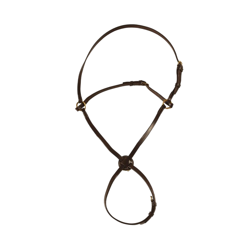 Chetak - Muserolle croisée Marron