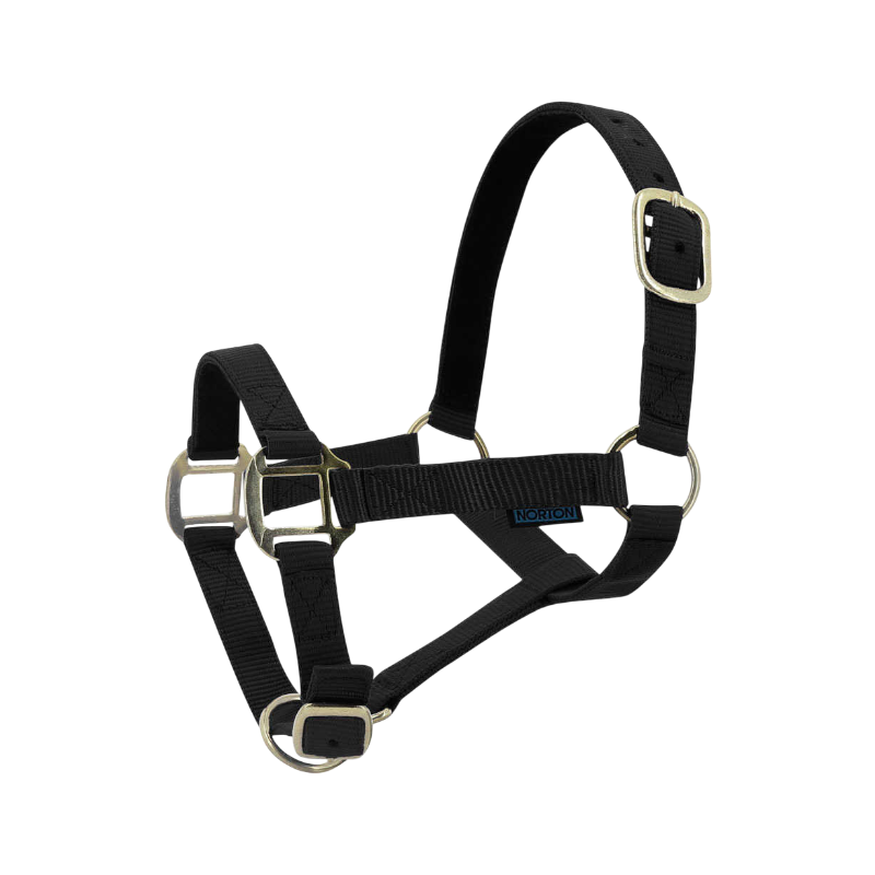 Norton - Licol nylon doublé cuir noir