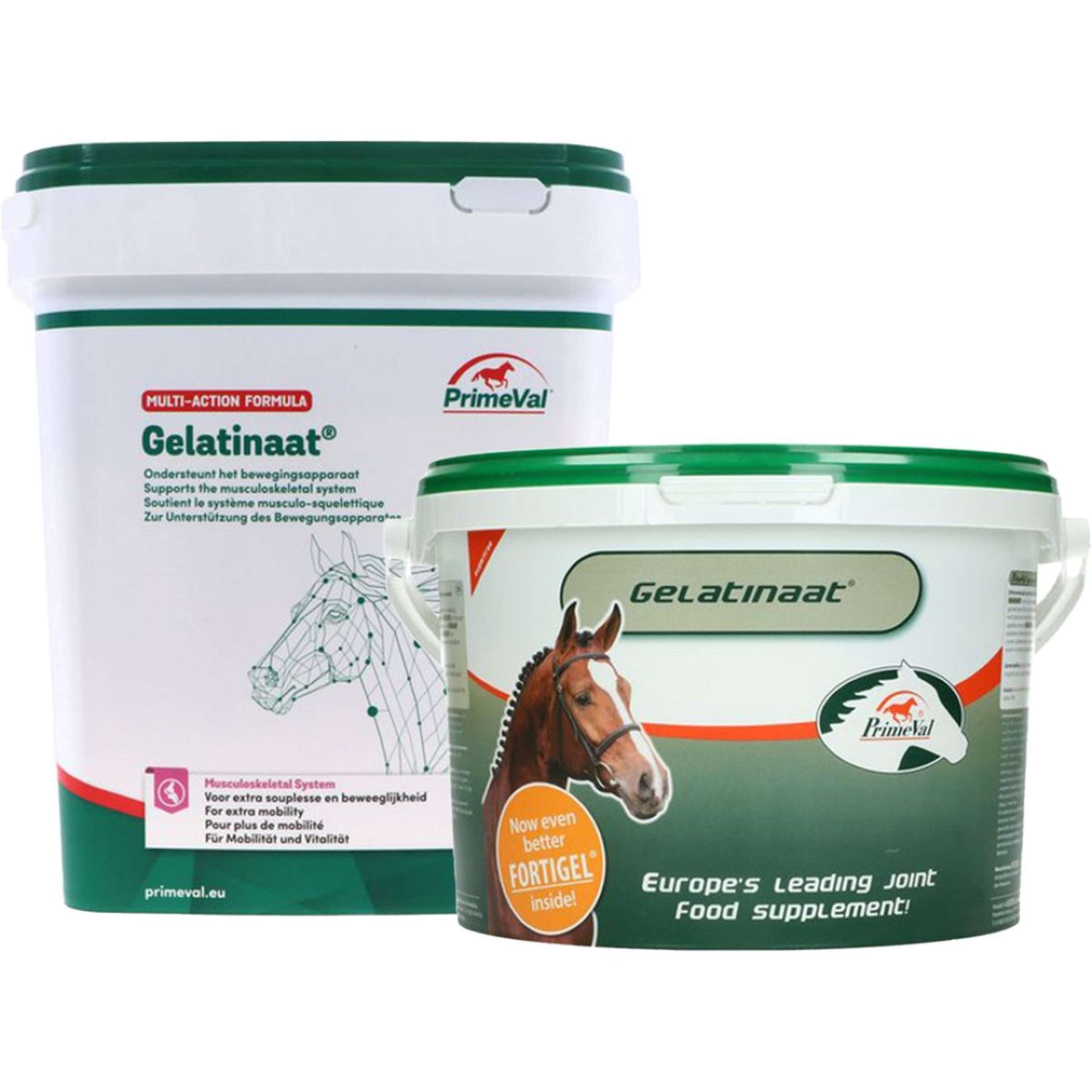 Primeval Gelatinate Cheval