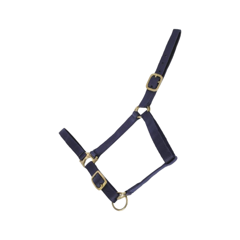 TdeT - Licol synthétique doublé suédine marine