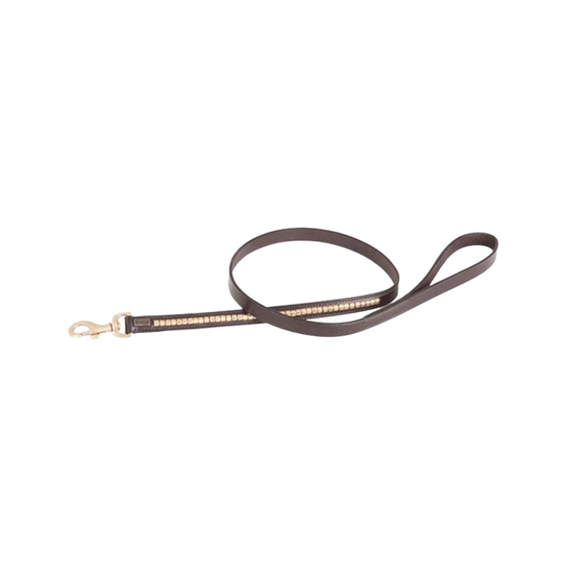 TdeT - Laisse pour chien clincher havane foncé/ jaune