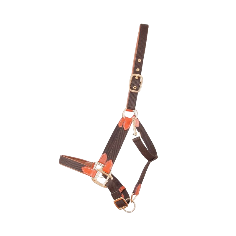 TdeT - Licol en cuir et sangle marron