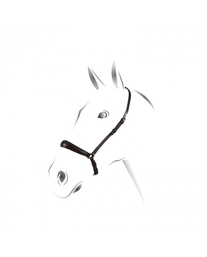 Anneau muserolle style allemand