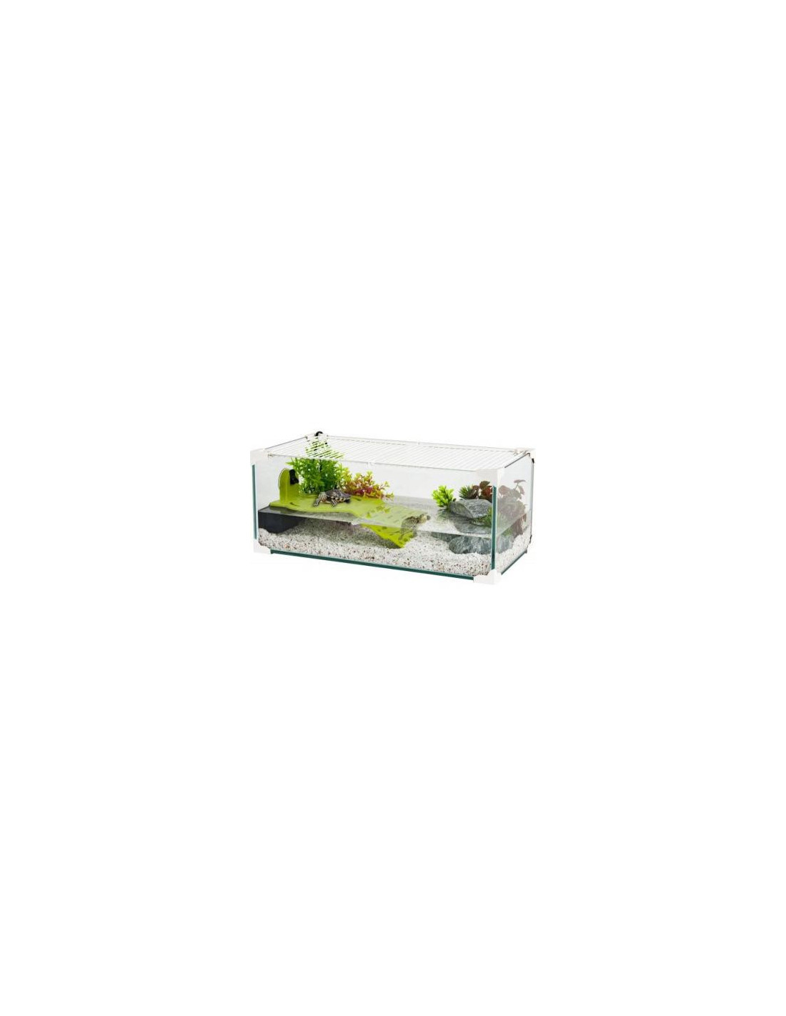 Aquaterrarium blanc 60 cm équipé aquarium tortue d'eau