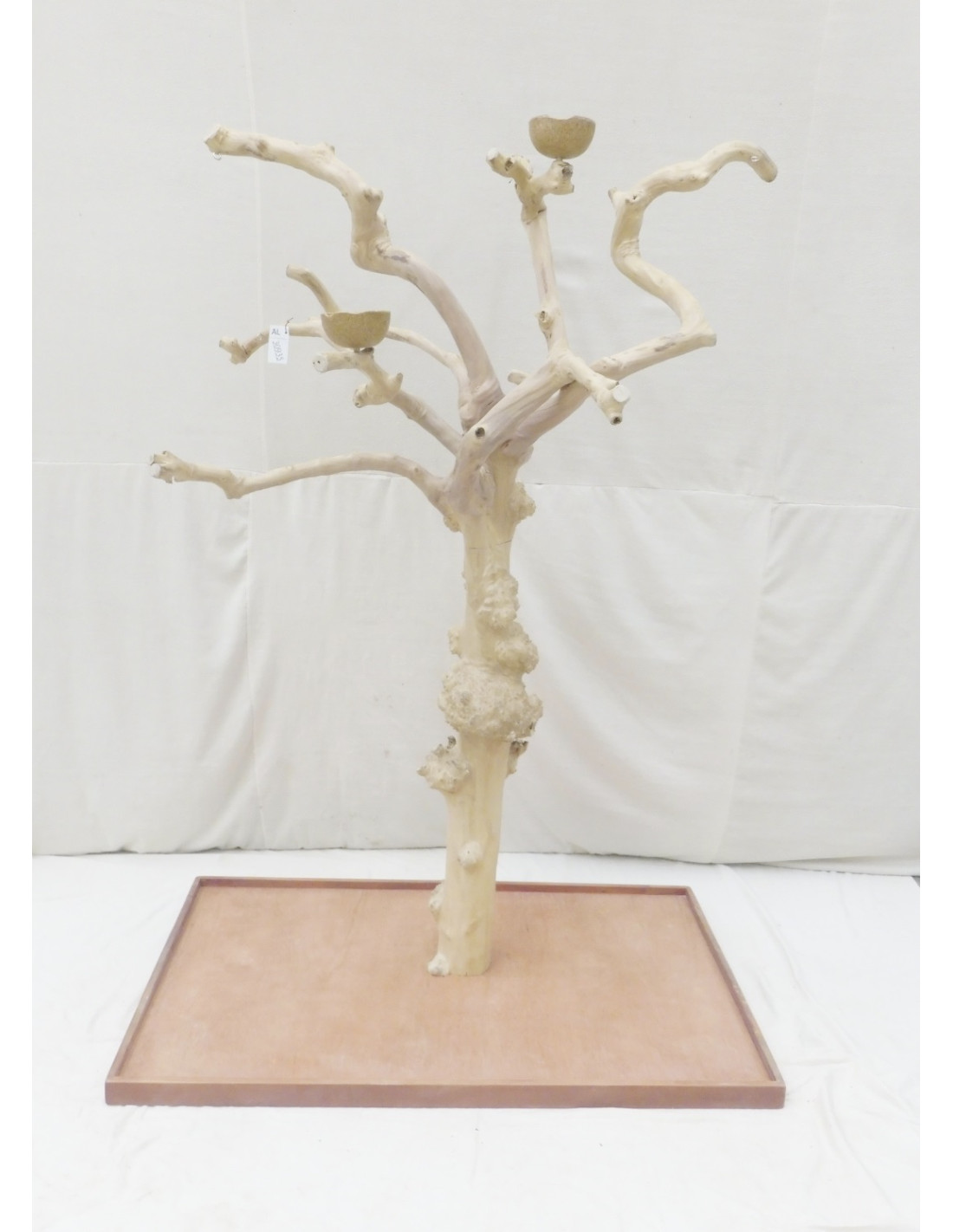 Arbre Java Grand Ara Jaune Rouge