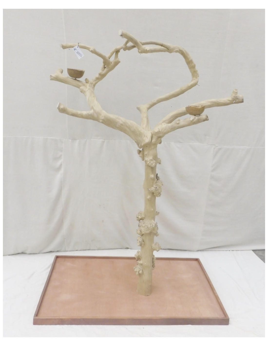 Arbre Java Grand Ara Rouge Bois de Caféier