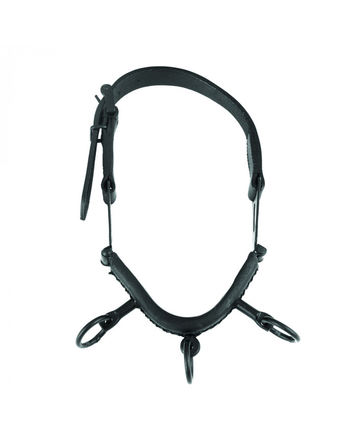 Arc espagnol C cavezzina Cuir