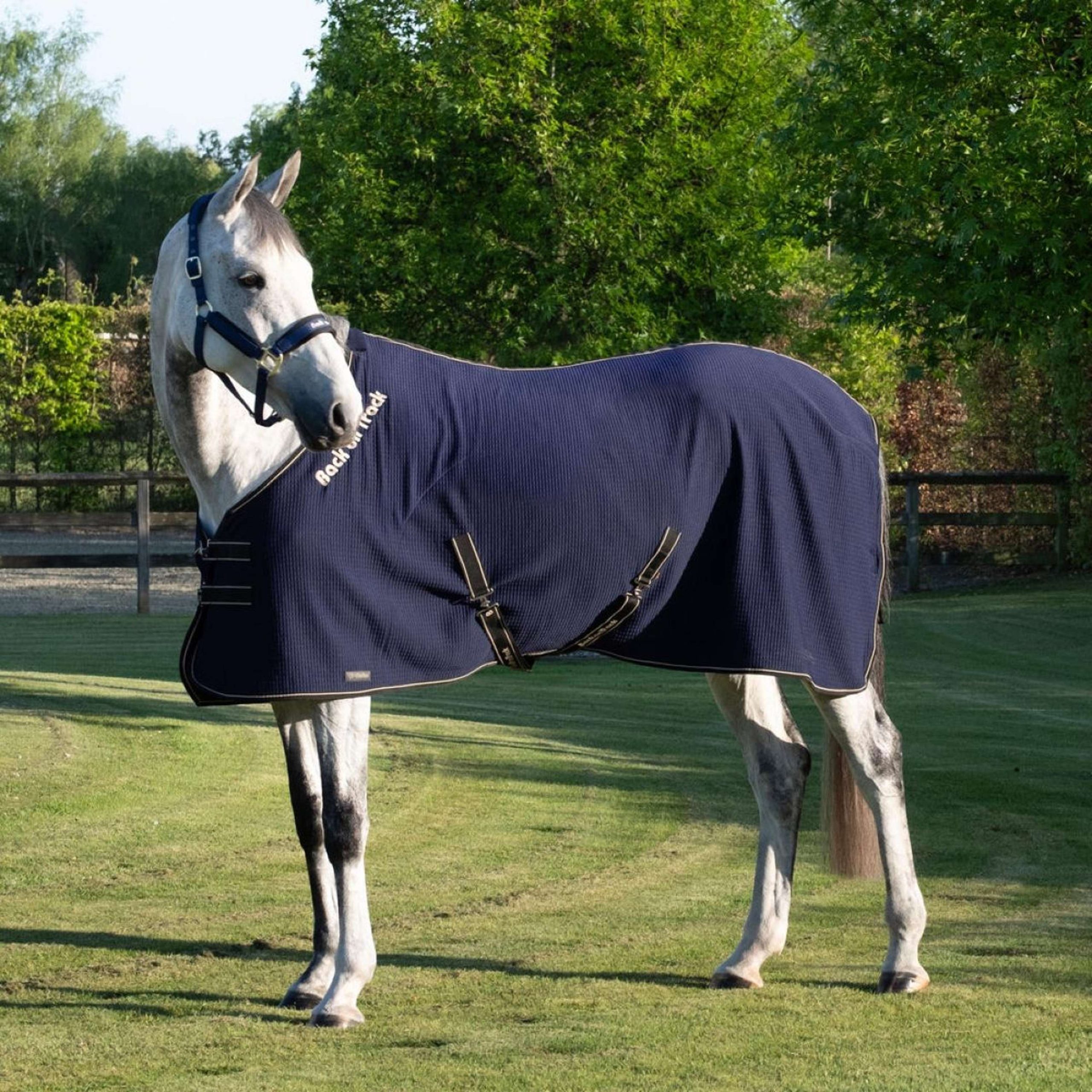 Back On Track Chemise Rafraîchissante Quick Bleu