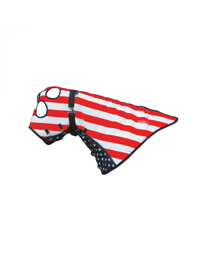 Bouchon 350 Gr Pour Co00276 Modèle Usa Stars