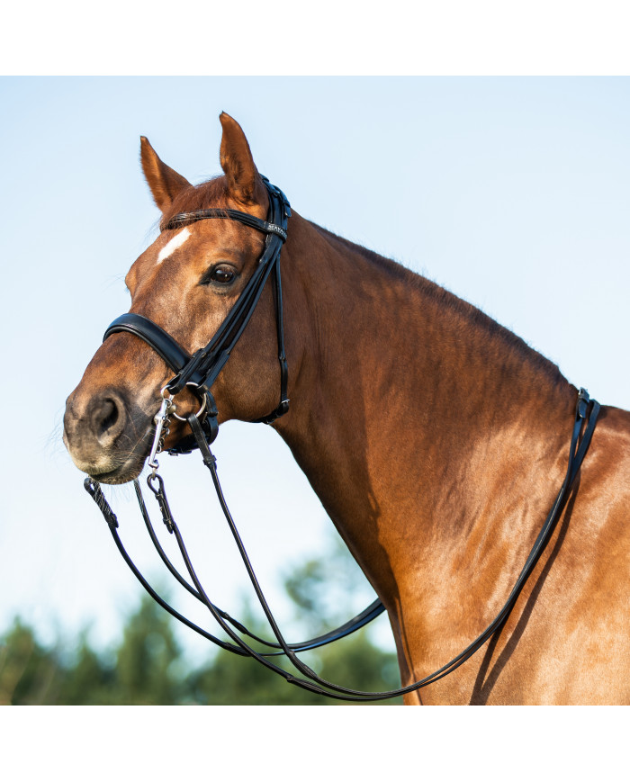 Bridon double rênes en cuir roulé Parnassus