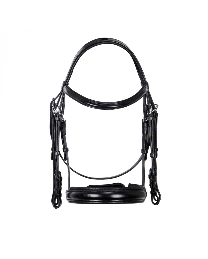 Bridon Dressage Sans rênes Double Forme Évolution