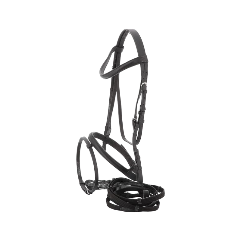 Riding World - Bridon Muserolle Combinée noir avec rênes