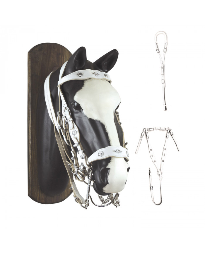 Bridon portugais blanc C collier de chasse E Sous-queue