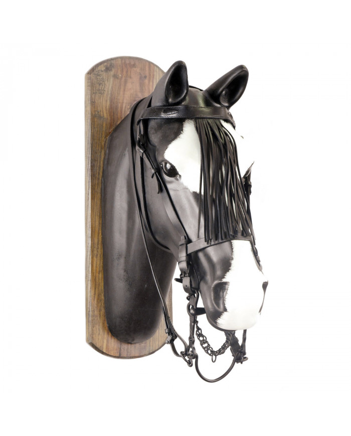 Bridon Vaquera C franges Jm