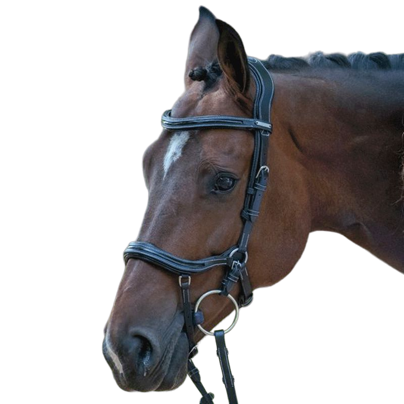 Jump'in - Bridon One Manhattan noir avec rênes