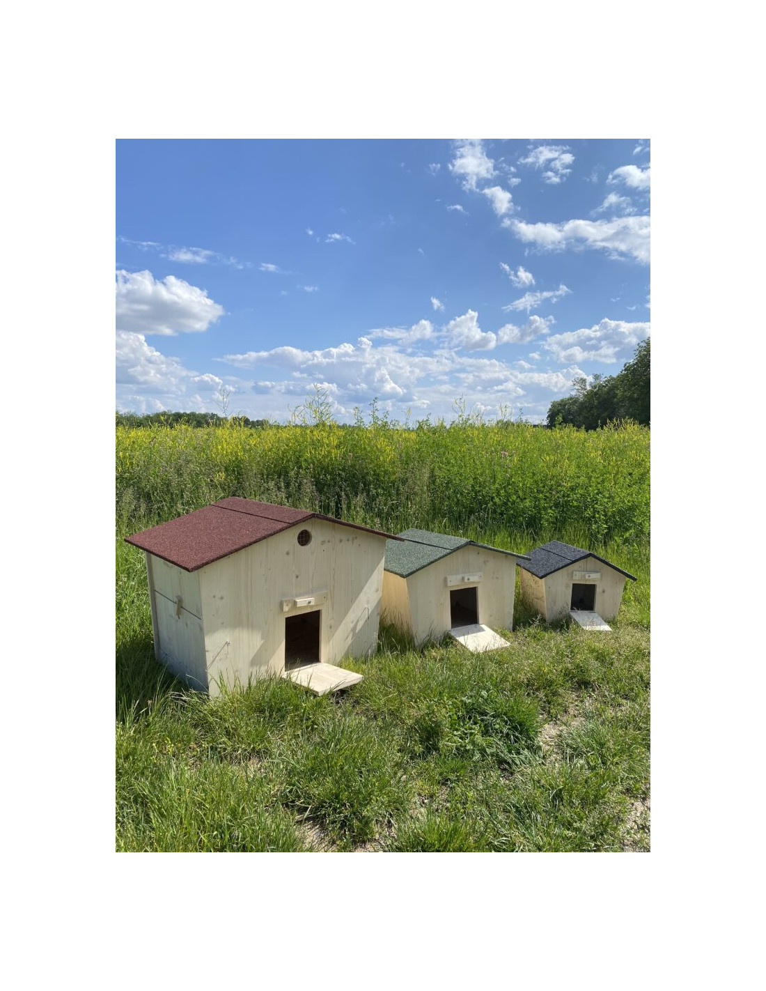 Cabane à Lapin en Epicéa Maison Hérisson Taille 1