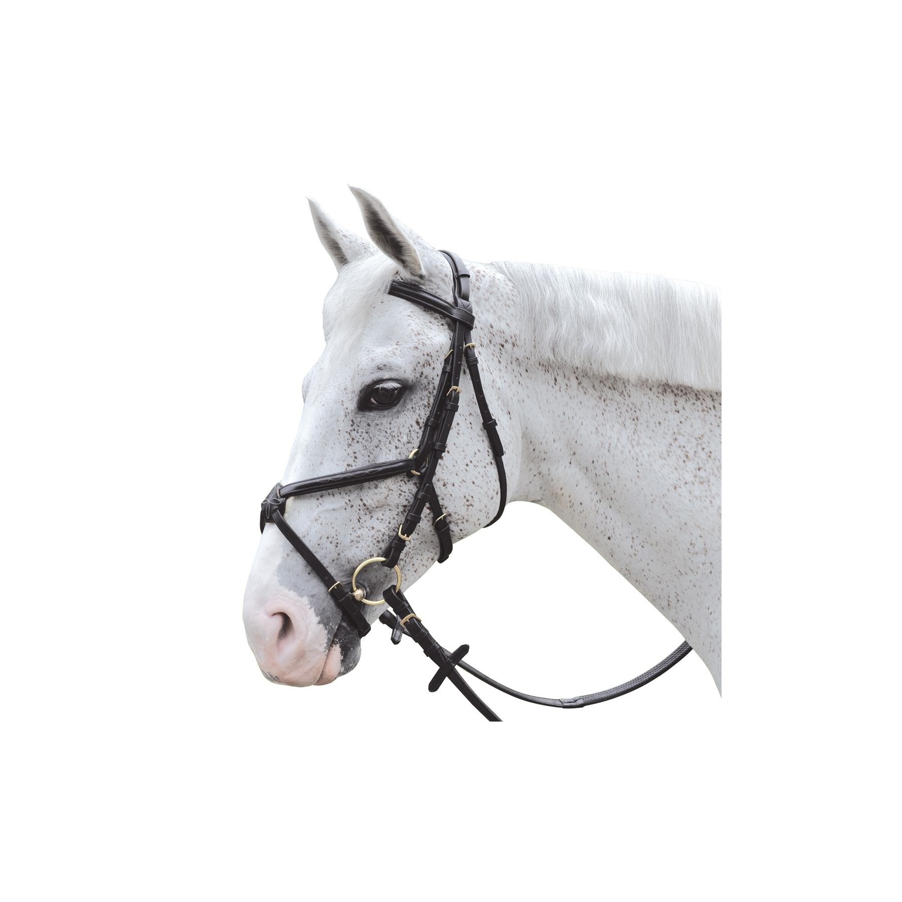 Bridons équitation surpiqué