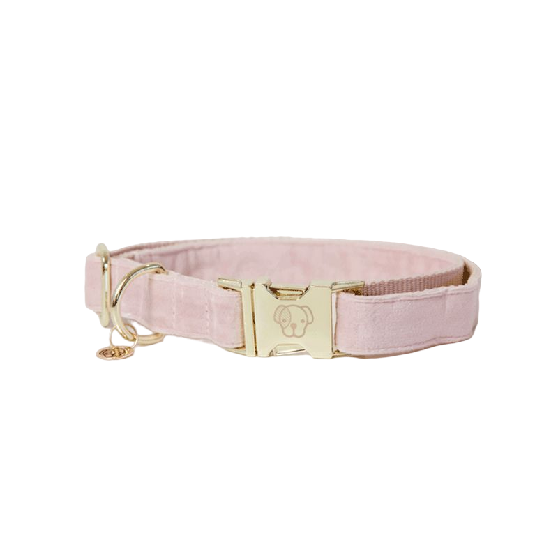 Kentucky Dogwear - Colliers pour chiens Velvet rose tendre