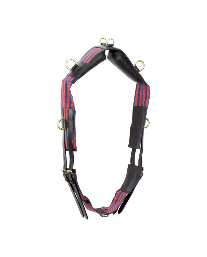 Cummerbund En Cuir Avec Petits Anneaux Et sangles