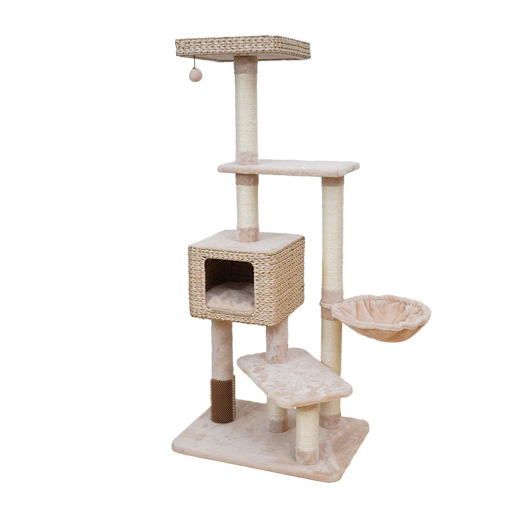 Arbre à chat Barbados