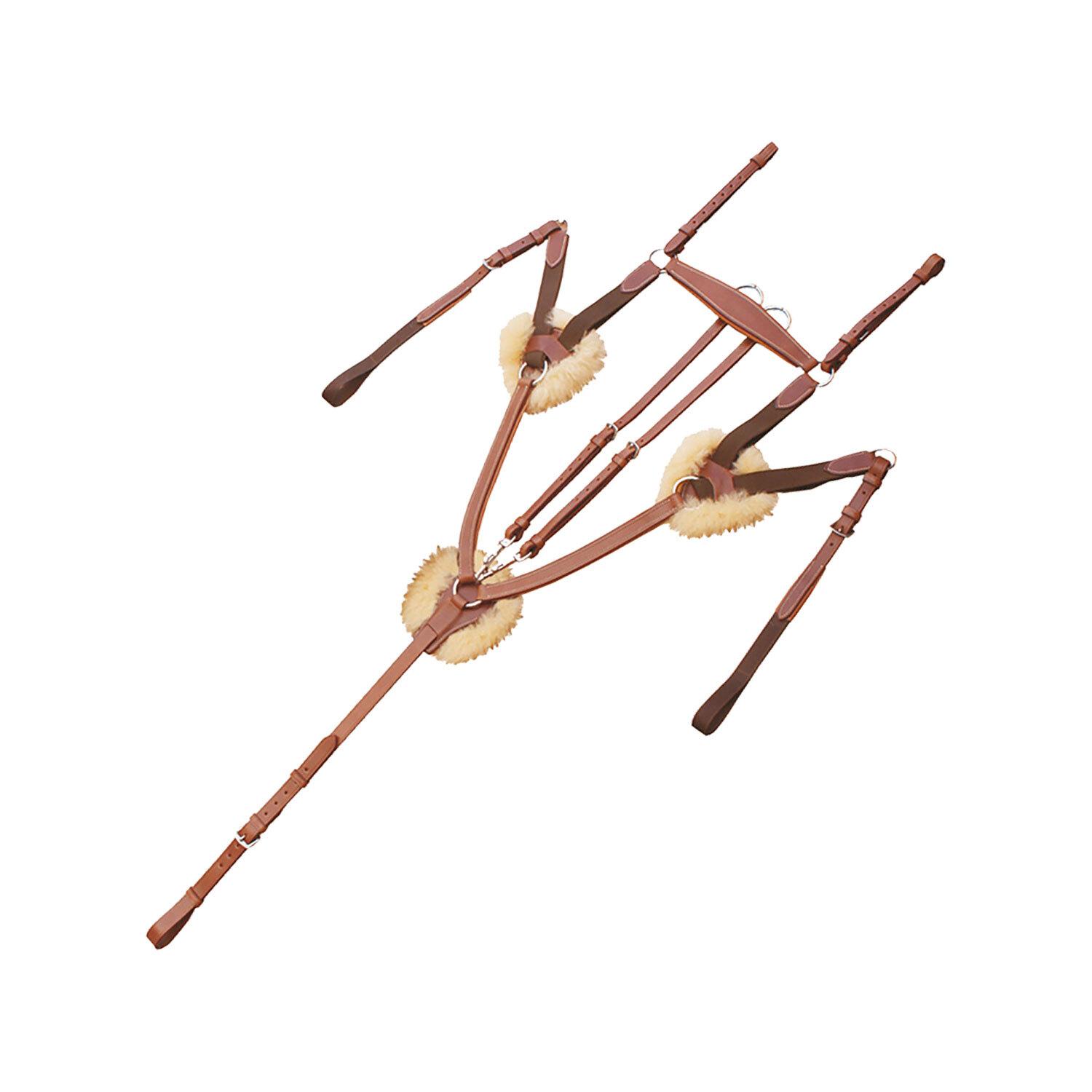 Collier de chasse à 5 points en cuir tanné